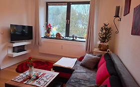 Ferienwohnung Haus Schöneck